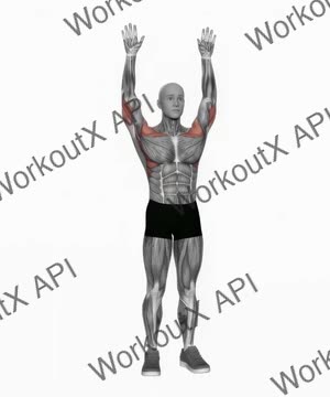 Bodyweight Standing Military Press exercise demonstration