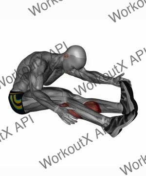 Seated Straight Leg Calf Stretch exercise demonstration