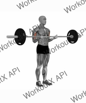 Barbell Biceps Curl Normal Grip exercise demonstration