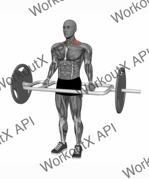 Trap Bar Shrug exercise demonstration