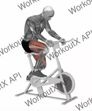 Indoor Cycling Spinbike exercise demonstration