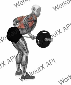 Barbell Reverse Grip Bent Over Row exercise demonstration