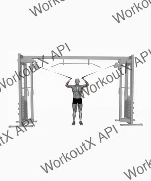 Cable Overhead Curl exercise demonstration