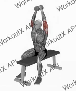 Dumbbell Seated Bench Extension exercise demonstration