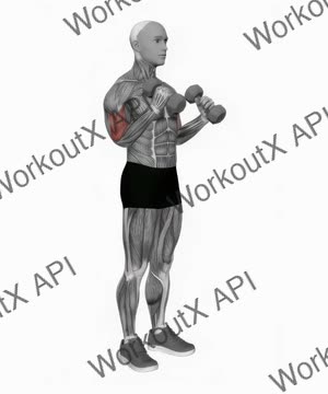 Dumbbell Hammer Curl Simultaneous Arms exercise demonstration