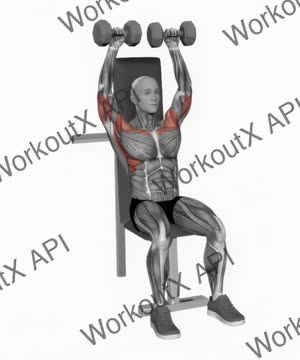Dumbbell Seated Shoulder Press exercise demonstration