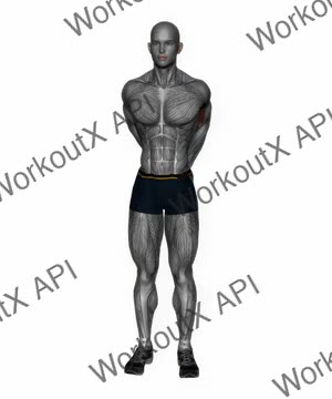 Biceps Stretch Behind the Back exercise demonstration