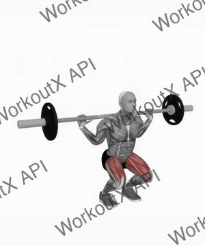 Barbell Narrow Stance Squat exercise demonstration