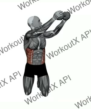 Dumbbell Kneeling Wood Chopper exercise demonstration