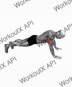 Push Up Plus exercise demonstration