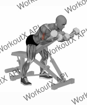 Spider Curl Dumbbells Simultaneous exercise demonstration