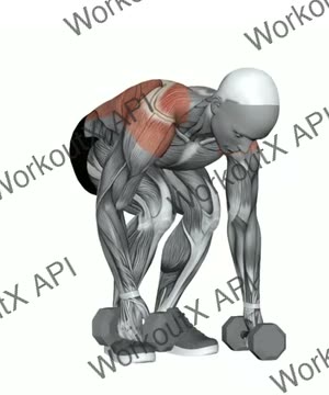 Dumbbell Alternating Pendlay Row exercise demonstration