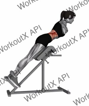 45 Degree Hyperextension (Arms in Front of Chest) exercise demonstration