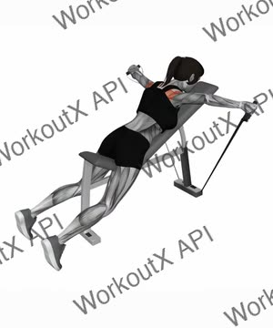 Band Reverse Fly exercise demonstration