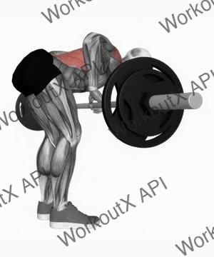 Bent Over Barbell Row exercise demonstration
