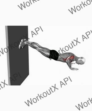 Decline Push Up Against Wall exercise demonstration