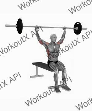 Barbell Seated Behind Neck Military Press exercise demonstration