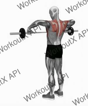 Barbell Wide Grip Upright Row exercise demonstration