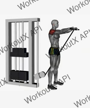 Cable Front Raises Straight Bar exercise demonstration