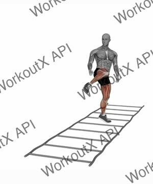 Agility Ladder Advanced Hop Position exercise demonstration