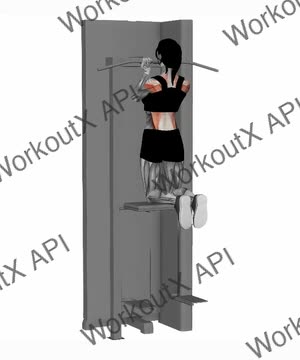 Assisted Chin Up Reverse Close Grip exercise demonstration
