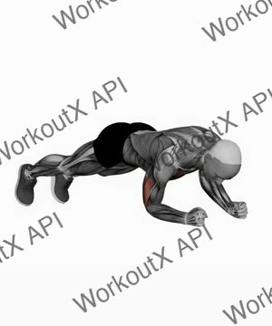 Plank Pushup exercise demonstration