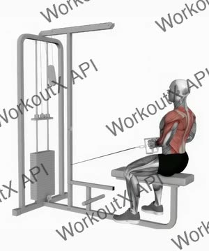 Cable Seated Row exercise demonstration