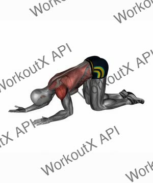 Kneeling Lat Floor Stretch exercise demonstration