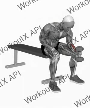 Dumbbell One Arm Seated Neutral Wrist Curl exercise demonstration