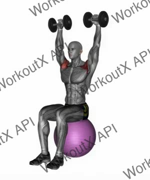 Dumbbell Seated on Exercise Ball Shoulder Press exercise demonstration
