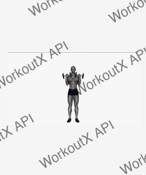 Dumbbell Bicep Curl to Shoulder Press exercise demonstration