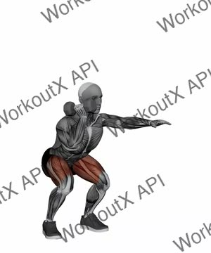 Dumbbell Offset Squat exercise demonstration