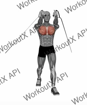 Chest Fly Low to High Resistance Band exercise demonstration