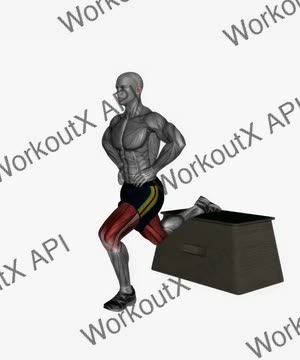Bulgarian Split Squat Bodyweight Left exercise demonstration