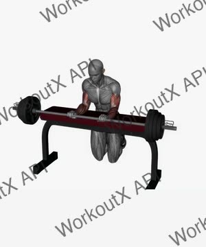 Wrist Extension Barbell exercise demonstration