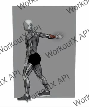 Forearms Stretch on Wall exercise demonstration