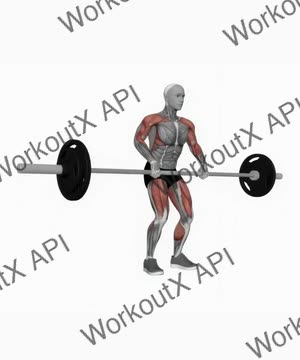 Barbell Clean Pull exercise demonstration
