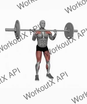 Barbell Muscle Clean exercise demonstration
