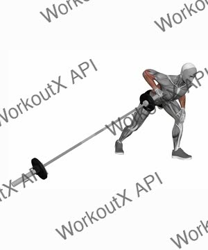 Barbell Meadows Row exercise demonstration