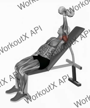 Dumbbell Incline One Arm Press exercise demonstration