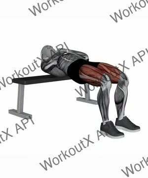Bodyweight Hip Thrust exercise demonstration