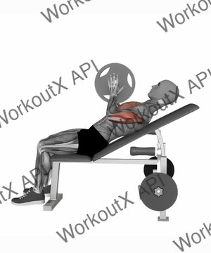 Svend Press Incline Bench exercise demonstration