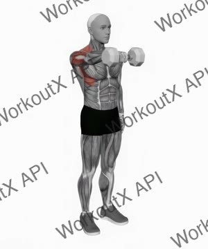 Dumbbell One Arm Front Raise exercise demonstration