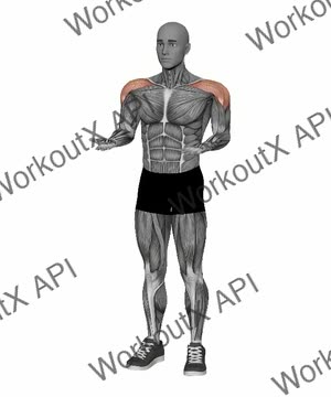 Arm Pulses Palms Upwards exercise demonstration
