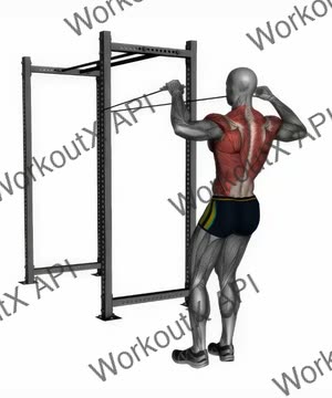 Resistance Bands Facepull exercise demonstration