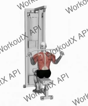 Cable Rear Pulldown exercise demonstration