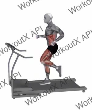 Treadmill Running exercise demonstration