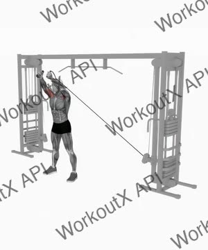 Low Cable Overhead Flyes exercise demonstration