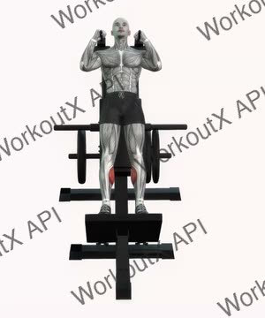 Calf Raise on Hack Squat Machine exercise demonstration