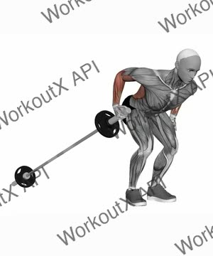 Barbell Long Landmine Row exercise demonstration